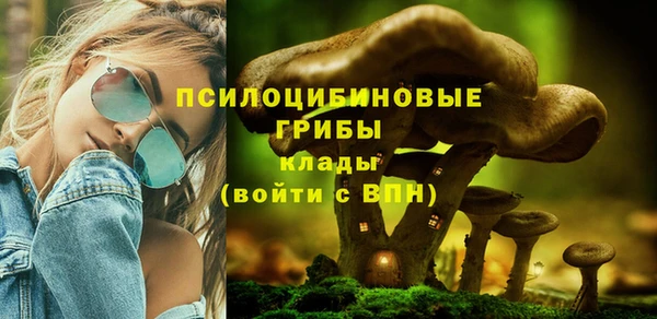 mdpv Алзамай