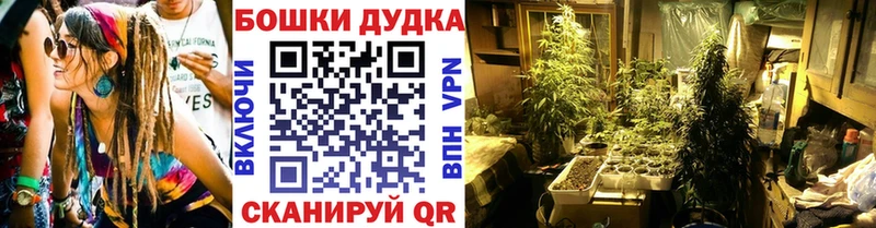 Бошки марихуана план  Касли 